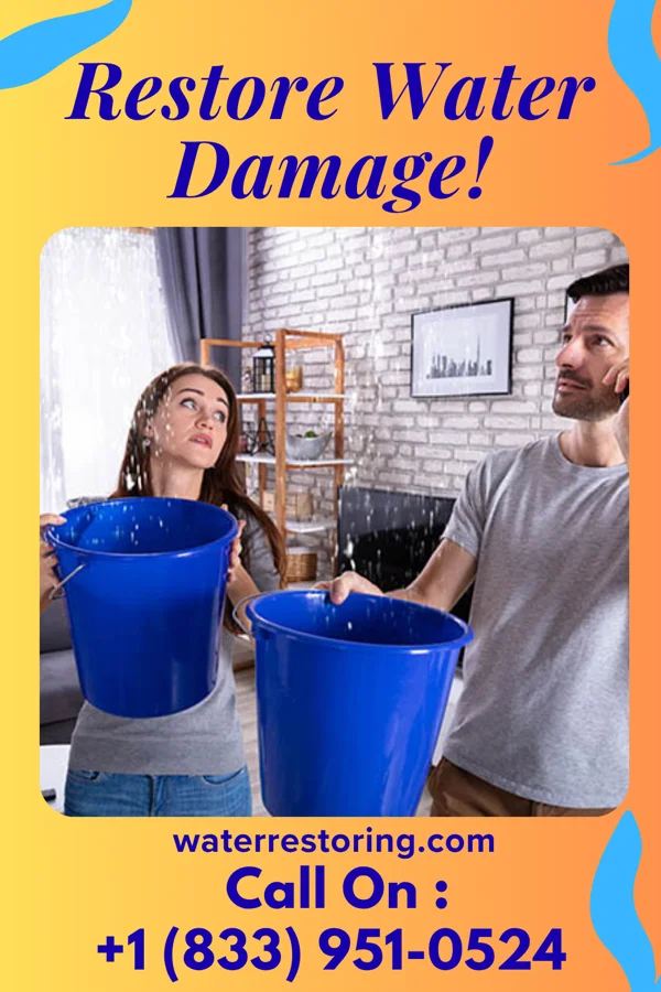 water restoration Silver Flood Recovery & Associates Manorhaven