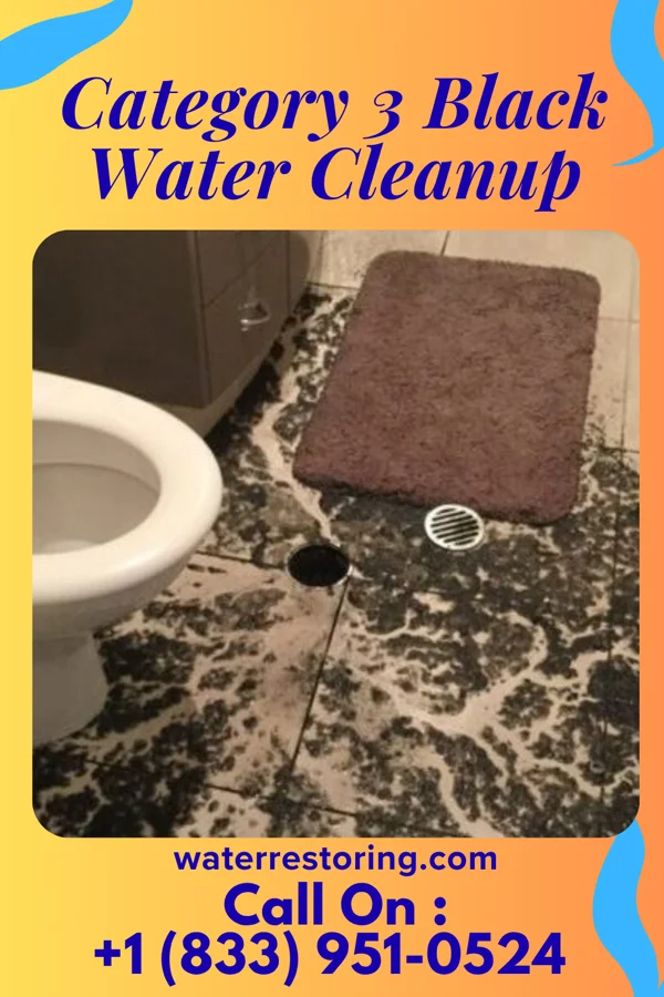 Category 3 Black Water Cleanup in Manorhaven, NY