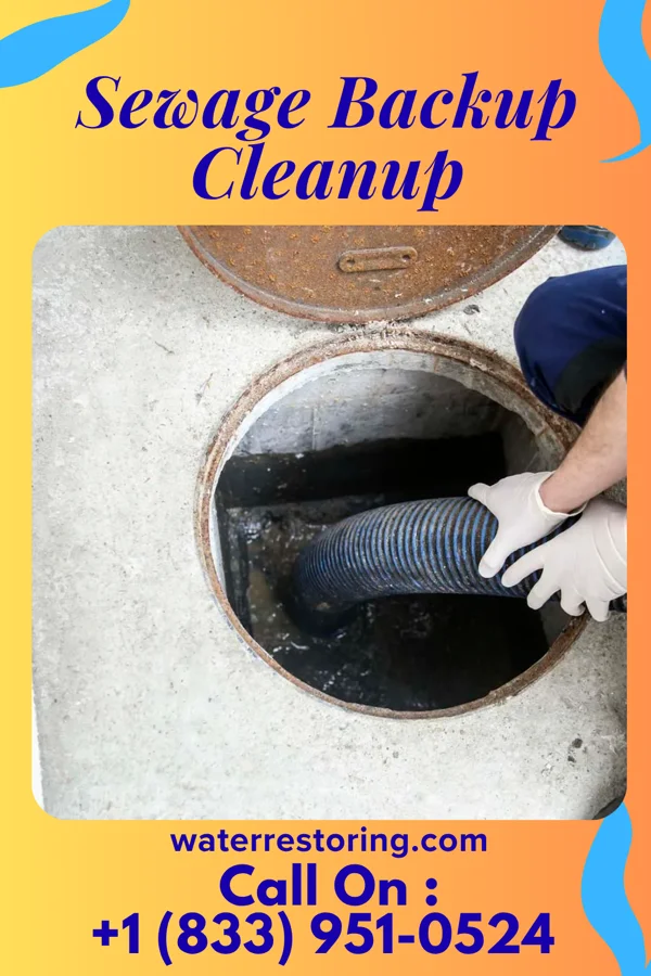 Sewage Backup Cleanup in Manorhaven, NY