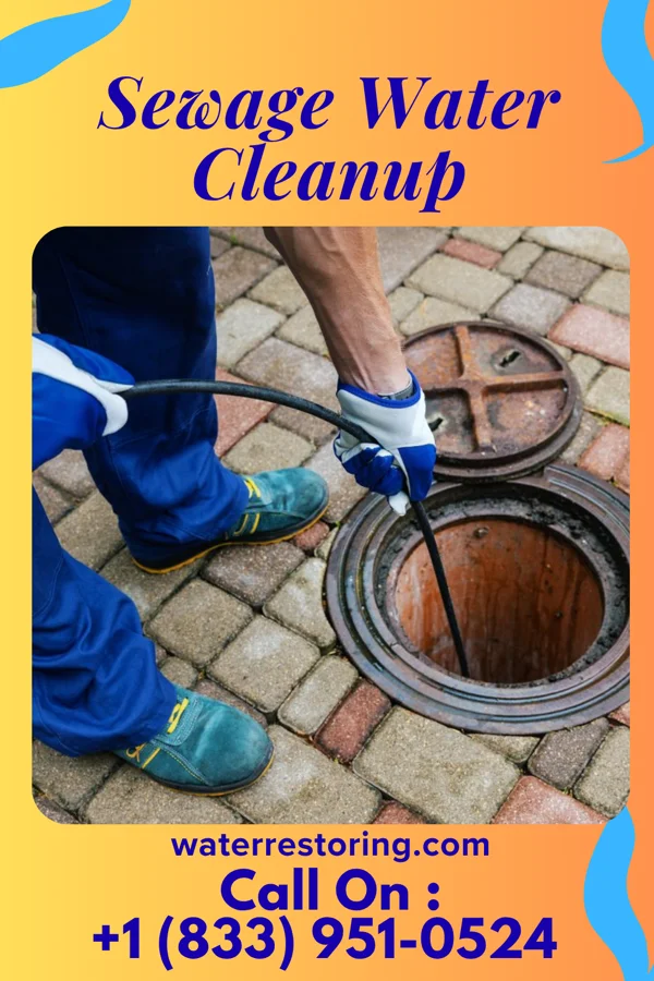 Sewage Water Cleanup in Manorhaven, NY