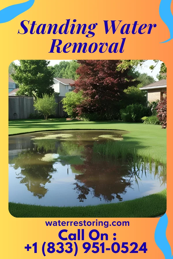 Standing Water Removal in Manorhaven, NY
